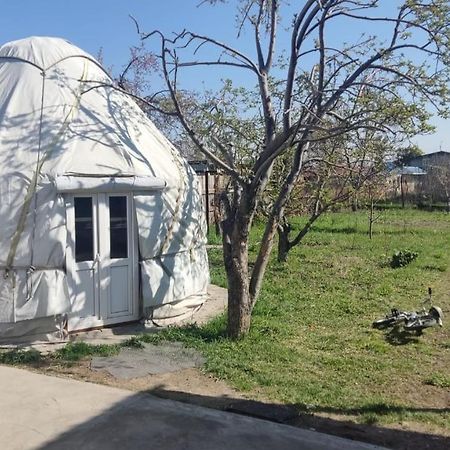 Yurt Stay In Downtown 카라콜 외부 사진