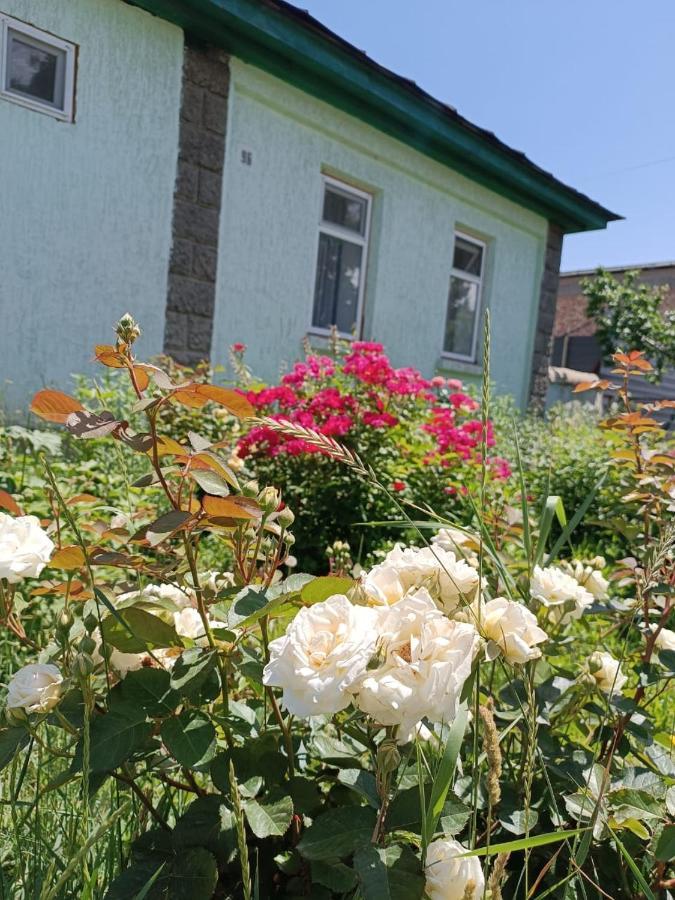 Yurt Stay In Downtown 카라콜 외부 사진